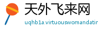 天外飞来网